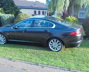 Jaguar XF Gebrauchtwagen