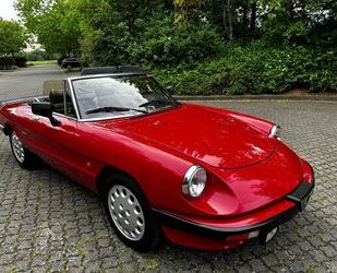 Alfa Romeo Spider Gebrauchtwagen