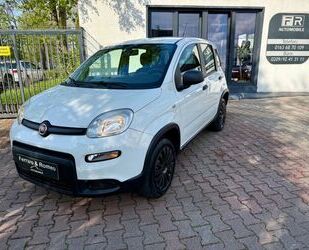 Fiat Panda Gebrauchtwagen