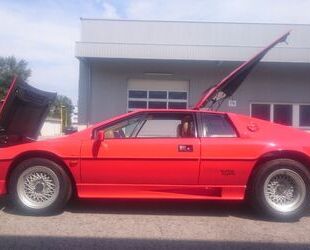 Lotus Esprit Gebrauchtwagen