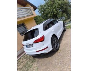 Audi Q5 Gebrauchtwagen