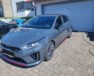 Kia ceed / Ceed Gebrauchtwagen