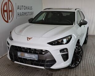 Cupra Terramar Gebrauchtwagen