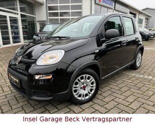Fiat Panda Gebrauchtwagen