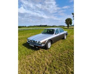 Jaguar XJ6 Gebrauchtwagen