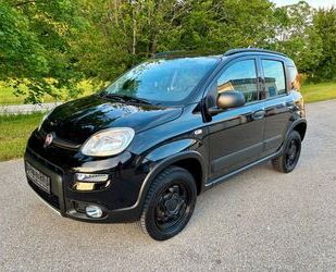 Fiat Panda Gebrauchtwagen