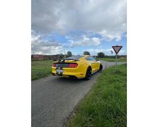 Ford Mustang Gebrauchtwagen