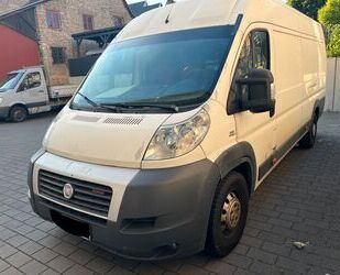 Fiat Ducato Gebrauchtwagen