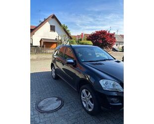 Mercedes-Benz ML 350 Gebrauchtwagen