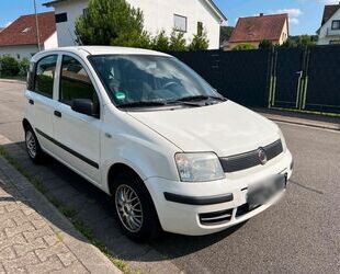Fiat Panda Gebrauchtwagen