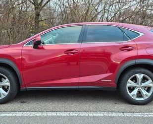 Lexus NX 300 Gebrauchtwagen
