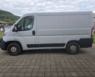 Fiat Ducato Gebrauchtwagen