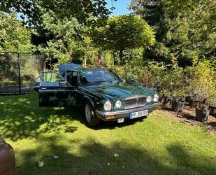 Jaguar XJ Gebrauchtwagen