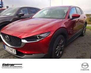 Mazda CX-30 Gebrauchtwagen