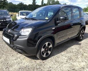 Fiat Panda Gebrauchtwagen