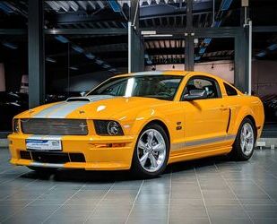 Ford Mustang Gebrauchtwagen