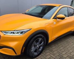 Ford Mustang Mach-E Gebrauchtwagen