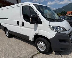 Fiat Ducato Gebrauchtwagen
