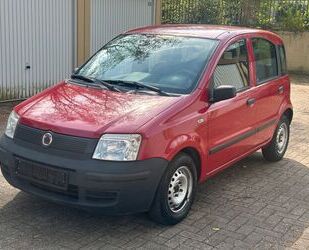 Fiat Panda Gebrauchtwagen