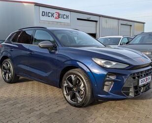 Cupra Terramar Gebrauchtwagen