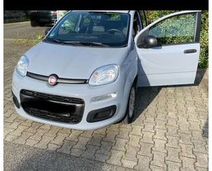 Fiat New Panda Gebrauchtwagen