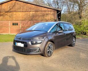 Citroen C4 Picasso Gebrauchtwagen