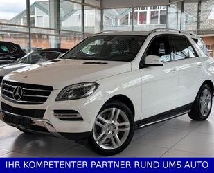 Mercedes-Benz ML 250 Gebrauchtwagen