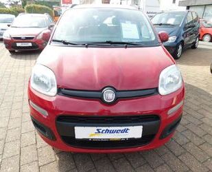 Fiat Panda Gebrauchtwagen