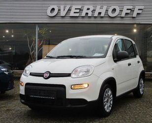 Fiat Panda Gebrauchtwagen