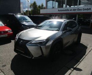 Lexus UX Gebrauchtwagen