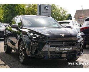 Cupra Terramar Gebrauchtwagen