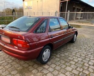 Ford Escort Gebrauchtwagen