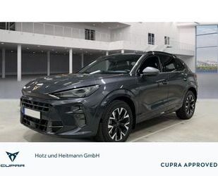 Cupra Terramar Gebrauchtwagen