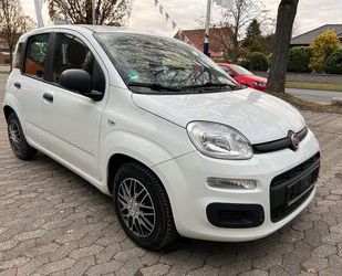 Fiat New Panda Gebrauchtwagen