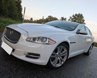 Jaguar XJ Gebrauchtwagen