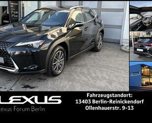 Lexus UX Gebrauchtwagen