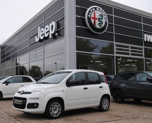 Fiat Panda Gebrauchtwagen