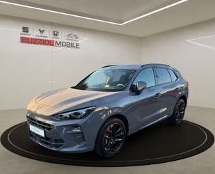 Cupra Terramar Gebrauchtwagen