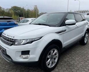 Land Rover Range Rover Evoque Gebrauchtwagen