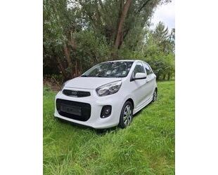 Kia Picanto Gebrauchtwagen