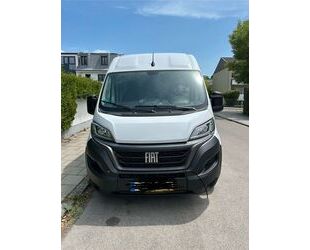 Fiat Ducato Gebrauchtwagen