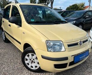 Fiat Panda Gebrauchtwagen