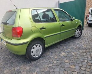 VW Polo Gebrauchtwagen