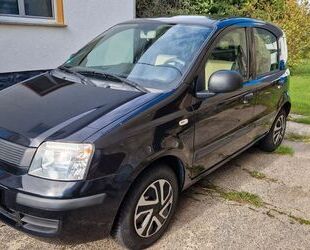 Fiat Panda Gebrauchtwagen