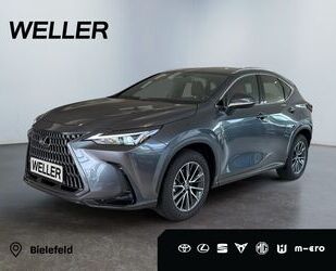 Lexus NX 350h Gebrauchtwagen