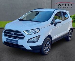 Ford EcoSport Gebrauchtwagen