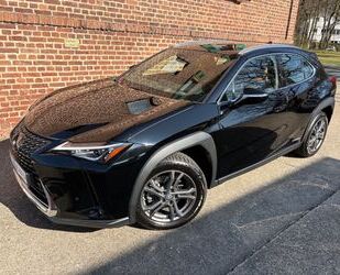 Lexus UX Gebrauchtwagen