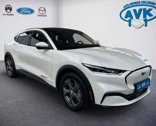 Ford Mustang Mach-E Gebrauchtwagen