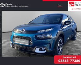 Citroen C4 Cactus Gebrauchtwagen