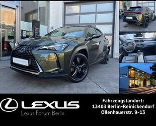 Lexus UX Gebrauchtwagen